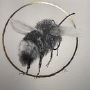"Bee with Bling". Un proyecto de Dibujo artístico, Ilustración naturalista				, Creatividad y Dibujo realista de Joni Postlewaite - 27.07.2023