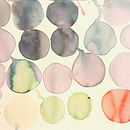 Acquerelli liquidi e tinte botaniche. Artesanato, Artes plásticas, Pintura, Pintura em aquarela, DIY, e Teoria da cor projeto de claudiasc - 28.07.2023