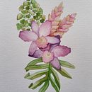 Marzena's projekt: Artistic Techniques for Illustrating Nature Ein Projekt aus dem Bereich Traditionelle Illustration, Aquarellmalerei, Malerei mit Acr, l, Botanische Illustration, Illustration mit Tinte und Zeichnen mit Buntstiften von Marzena - 28.07.2023