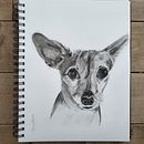 Dessins . Arte și meșteșuguri, Pictura și Desen de Anne Martin - 07.31.2023