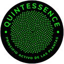 Logotipo Quintessence  . Br & ing și identitate de Natalia Gigliotti - 07.31.2023