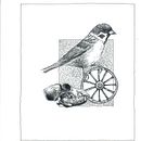 My project for course: Realistic Illustration of Birds with Imaginative Elements. Un proyecto de Dibujo a lápiz, Dibujo, Ilustración con tinta e Ilustración naturalista				 de Ingrid Wolf-Hattinger - 31.07.2023