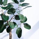 PLANT MODELING - GROWFX. 3D Modeling project by pedrodominguez_3d - 08.02.2023