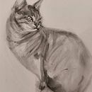 My project for course: Expressive Drawing with Charcoal. Fine Arts, Drawing, and Naturalistic Illustration project by kristofluysmans - 08.03.2023
