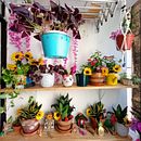 Mi proyecto del curso: Diseño de interiores con plantas desde cero. Een project van Interieurontwerp, L, scaping,  Interieurdecoratie,  Interieur, DIY, Bloem- en plantenschikken y Ruimtelijk ontwerp van Milena León - 03.08.2023