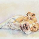 Some examples of my doodles - some are commissions, some just for fun!. Ilustração tradicional, Artesanato, Artes plásticas, Pintura, e Arquitetura projeto de Samantha Watson - 03.08.2023