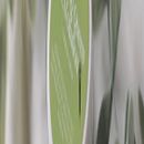 Mi proyecto del curso: Iniciación a la fotografía creativa de producto. Un projet de Photographie, Photographie de produits, Éclairage photographique , et Photographie numérique de Milly Licelot Rodriguez - 03.08.2023
