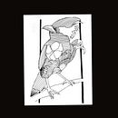 My project for course: Realistic Illustration of Birds with Imaginative Elements. Un progetto di Disegno a matita, Disegno, Illustrazione con inchiostro e Illustrazione naturalistica di skylar756 - 03.08.2023