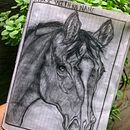 A horse with no name  Ein Projekt aus dem Bereich Zeichnung von Daniii Gomez Ochoa - 07.08.2023