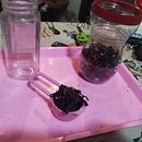 My project for course: Creating Liquid Watercolors and Botanical Inks. Arts, Crafts, Fine Arts, Painting, Watercolor Painting, DIY, and Color Theor project by Melissa Santana - 08.07.2023