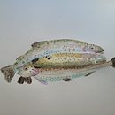 Mon projet du cours : Croquis créatifs à l'aquarelle pour débutants. Un proyecto de Ilustración tradicional, Bocetado, Creatividad, Dibujo, Pintura a la acuarela y Sketchbook de Isabelle Moulis - 07.08.2023