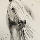 My project for course: Expressive Animal Portraits in Watercolor Ein Projekt aus dem Bereich Traditionelle Illustration, Aquarellmalerei, Realistische Zeichnung und Naturalistische Illustration von carolynn_ryan - 08.08.2023