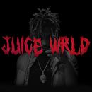 Juice Wrld Psychedelic Animation. Motion Graphics, 3D, Photograph, Post-production, and 3D Animation project by Nabeel Imam Malik - 08.04.2023