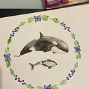 Mi proyecto del curso: Técnicas de ilustración naturalista: ballenas en acuarela Ein Projekt aus dem Bereich Bildende Künste, Malerei, Aquarellmalerei und Naturalistische Illustration von Ingrid Mödinger - 10.08.2023
