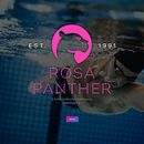 Rosa Panther – Schwullesbischer Sportverein Nürnberg e.V.. Un progetto di Br, ing, Br, identit, Tipografia, Signage design, Web design, Design di loghi e Graphic design di Rüdiger Henning - 11.08.2023