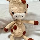 Mi proyecto del curso: Amigurumi para principiantes: teje animales en crochet. Een project van Craft, Speelgoedontwerp, Haken, Amigurumi y Textielontwerp van Rosa Martha Celorio - 11.08.2023