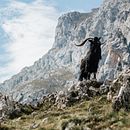  Landscape and Nature Photography. Un projet de Photographie, Photographie extérieure, Photographie pour Instagram, Photographie documentaire , et Composition photographique de Tania Roque - 12.08.2023