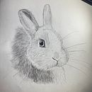 Meu projeto do curso: Desenho naturalista de animais com lápis grafite. Un projet de Illustration traditionnelle, Dessin au cra, on, Dessin et Illustration naturaliste de Ana V_ - 12.08.2023