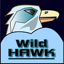 Wild Hawk. Logo Design project by Bogusław Duch - 08.10.2023
