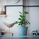 Cafe in Asahikawa . % arajun tarafından hazırlanan Fotoğrafçılık projesi - 08.12.2023