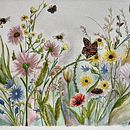 Flowers and Pollinators. Un proyecto de Ilustración tradicional y Pintura a la acuarela de Diane C. Pelletier - 13.08.2023