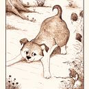My project for course: Dip Pen and Ink Illustration: Capturing The Natural World. Esboçado, Desenho, Desenho artístico, Sketchbook, Ilustração com tinta, Ilustração naturalista e Ilustração tradicional projeto de Karla Stone - 15.08.2023