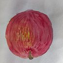 Mi proyecto del curso: Cuaderno botánico en acuarela. Un progetto di Illustrazione tradizionale, Pittura ad acquerello, Illustrazione botanica e Sketchbook di cecilialagamma - 15.08.2023