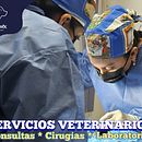 PUBLICIDAD PARA VETERINARIA ANIMAUX . % Sergio Alvarez tarafından hazırlanan Reklamcılık projesi - 09.30.2023