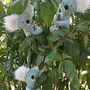 Mi proyecto del curso: Diseño y  confección de peluches. Projekt z dziedziny Projektowanie postaci, Craft, Projektowanie zabawek,  Sz, cie, Wzornictwo i krawiectwo użytkownika juliarodriguezalsina - 16.08.2023