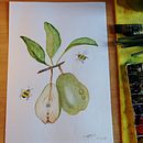 Mi proyecto del curso: Ilustración botánica realista: conecta con la naturaleza Ein Projekt aus dem Bereich Malerei, Aquarellmalerei, Botanische Illustration und Naturalistische Illustration von Clara Sala - 16.08.2023