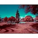 Mi proyecto del curso: Fotografía infrarroja: captura el mundo de lo invisible. Projekt z dziedziny Fotografia, Retuszowanie fotografii, Fotografia c, frowa,  Fotografia plenerowa, Fotografia architektur i Teoria barw użytkownika Cristian Lemus Borja - 18.08.2023