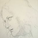 My project for course: Classical Portrait Drawing: The Renaissance Man’s Method. Fine Arts, Sketching, Drawing, Portrait Drawing, Realistic Drawing, and Artistic Drawing project by Rajani - 08.18.2023