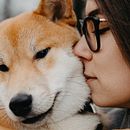 Furry Therapists - How Dogs Can Help With Anxiety and Depression. Escrita, e Redação de conteúdo projeto de animalcare_seoexpert - 16.08.2023