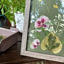 Mój projekt z kursu: Podstawowe techniki prasowania roślin. Projekt z dziedziny Craft,  Sztuki piękne,  Kolaż, DIY, Kompoz i cje kwiatowe i botaniczne użytkownika olga_wodowska - 19.08.2023
