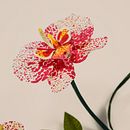 Orquídeas de papel . Paper Craft, Stationer, Design, Floral, Plant Design, Drawing, Traditional illustration, and Botanical Illustration project by Manuela Maya Rendón - 02.02.2022