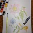 Flores <3 Ein Projekt aus dem Bereich Traditionelle Illustration, Malerei, Zeichnung, Aquarellmalerei und Botanische Illustration von Belén Moreno - 20.08.2023