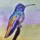 Mi proyecto del curso: Retratos de Mascotas en Lápices de Colores. Un proyecto de Ilustración tradicional e Ilustración naturalista				 de Alessandro GR - 20.08.2023