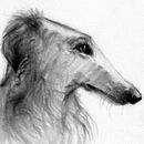 My project for course: Expressive Drawing with Charcoal. Fine Arts, Drawing, Portrait Drawing, and Naturalistic Illustration project by gabriellovescreate - 08.20.2023