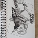 Mon projet du cours : Illustration réaliste d'oiseaux avec des éléments imaginatifs. Pencil Drawing, Drawing, Ink Illustration, and Naturalistic Illustration project by Kevin Candusso - 08.18.2023