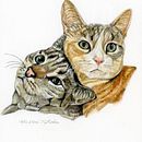 Mi proyecto del curso: Retratos de Mascotas en Lápices de Colores Ein Projekt aus dem Bereich Traditionelle Illustration und Naturalistische Illustration von Gemma Quilez - 20.08.2023