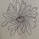 Il mio progetto del corso: Illustrazione su sketchbook con penna: sbaglia con stile. Un projet de Esquisse , Dessin, Carnet de croquis et Illustration à l'encre de lucia_palomba - 12.12.2023
