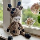 Final Project | Course: Crocheting Amigurumi Animals for Beginners. Arts, Crafts, To, Design, Crochet, Amigurumi, and Textile Design project by Marie - 08.23.2023