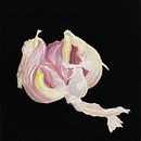 Mein Abschlussprojekt für den Kurs: Botanisches Aquarell: Illustriere Kunst und Wissenschaft. Traditional illustration, Fine Arts, Painting, Drawing, Watercolor Painting, and Botanical Illustration project by Hetty Meijs - 08.20.2023