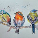 My project for course: Artistic Watercolor Techniques for Illustrating Birds. Projekt z dziedziny Trad, c, jna ilustracja, Malowanie akwarelą, R, sunek realist, czn, Ilustracja naturalist i czna użytkownika suzij - 20.08.2023