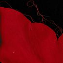 Wound. Un progetto di Belle arti di robertapavel - 25.08.2023