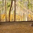 My project for course: Dreamy Watercolor Landscapes: Paint with Light. Un projet de Aquarelle de ksteelman5419 - 25.08.2023