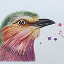 Aves Ein Projekt aus dem Bereich Traditionelle Illustration, Aquarellmalerei, Zeichnung, Porträtzeichnung und Realistische Zeichnung von Mayarí Mazariegos De León - 26.08.2023