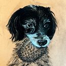 My project for course: Animal Illustration with Charcoal and Ink. Un proyecto de Bellas Artes, Dibujo, Ilustración con tinta e Ilustración naturalista				 de Lindsey Maldonado - 23.08.2023