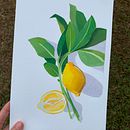Meu projeto do curso: Pintura de obras de arte vibrantes com guache. Un proyecto de Bellas Artes, Pintura, Teoría del color y Pintura gouache de Michelly Veloso - 28.08.2023