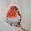 Robin. Un progetto di Pittura ad acquerello di allycarr66 - 29.08.2023